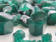 Digital Developments in the Face of Viral Disruptions