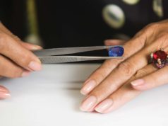 Adapting to the Covid Crisis – Elke Berr