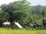 Sri Lanka – Holding Strong