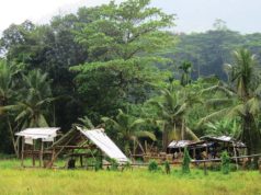 Sri Lanka – Holding Strong