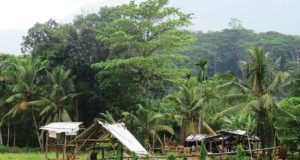 Sri Lanka – Holding Strong