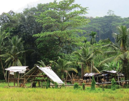 Sri Lanka – Holding Strong