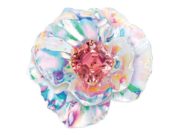 An Explosion of Color