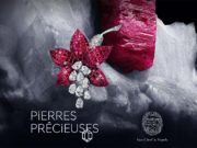 Gems – Pierres Précieuses