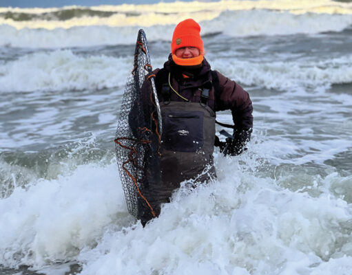 The Gold of The North . A View from Gdansk, Poland