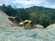 Fei Cui Global Supply Chain Research – Update Fei-Cui-Global-Supply-Chain-Research