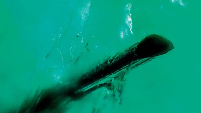 Tourmaline inclusion in an emerald from Zambia (Kafubu), (FOV - 1.483 mm).