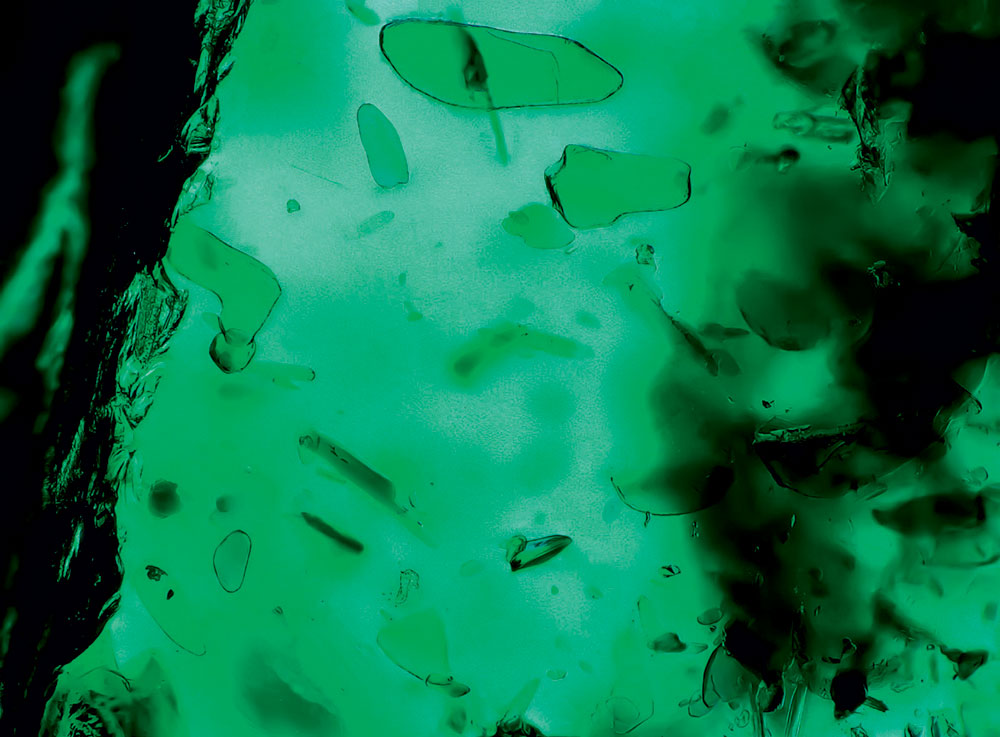 Biotite mica inclusion in a Zambian emerald (Kafubu), a mineral also reported in 22 other origins worldwide (FOV – 2.764 mm).