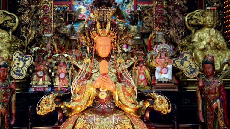 Precious corals and genomic transparency